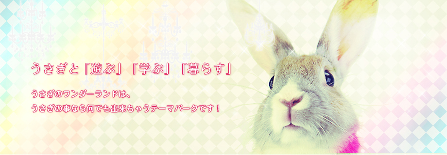 うさぎと「遊ぶ」「学ぶ」「暮らす」
