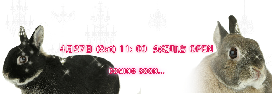 4月27日 (Sat) 11: 00  矢場町店 OPEN COMING SOON...