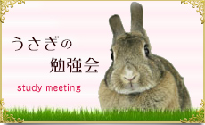 うさぎの勉強会