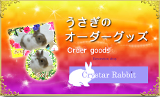 Crystar Rabbit（クリスターラビット）