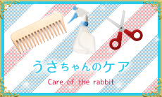 うさちゃんのケア