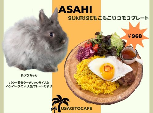 カフェ Cafe – うさぎのワンダーランド うさぎとカフェ
