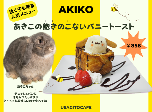 うさぎcafe カフェ Cafe – うさぎのワンダーランド うさぎとカフェ