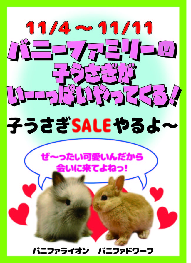 キャンペーン