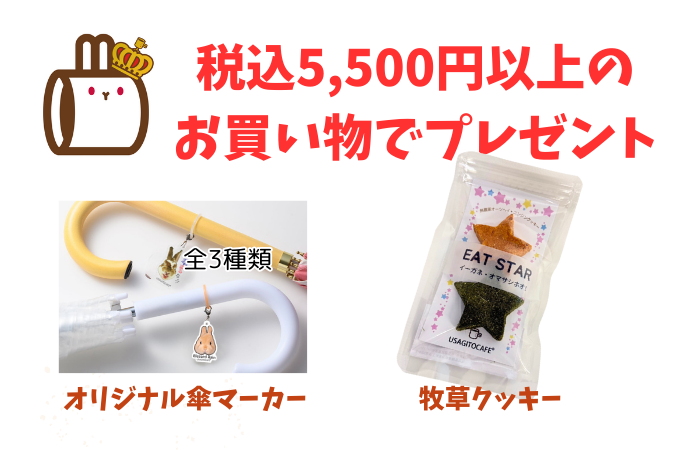 9月キャンペーン 9月キャンペーン