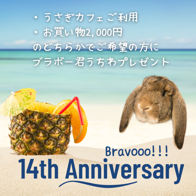 Goodbye Summer (Instagram Post)