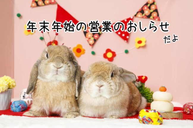 うさぎカフェ年末年始のお知らせ