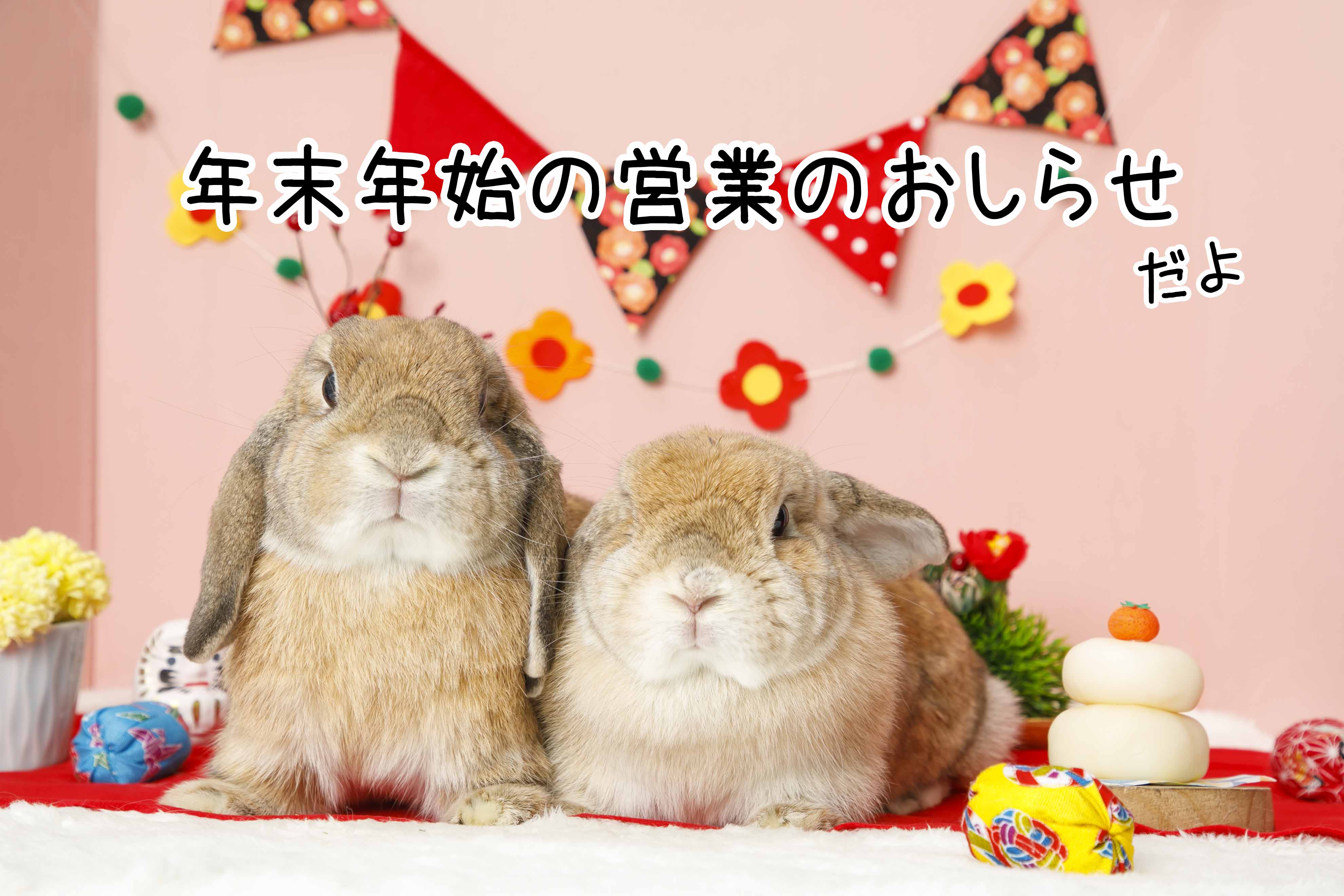 うさぎカフェ年末年始のお知らせ