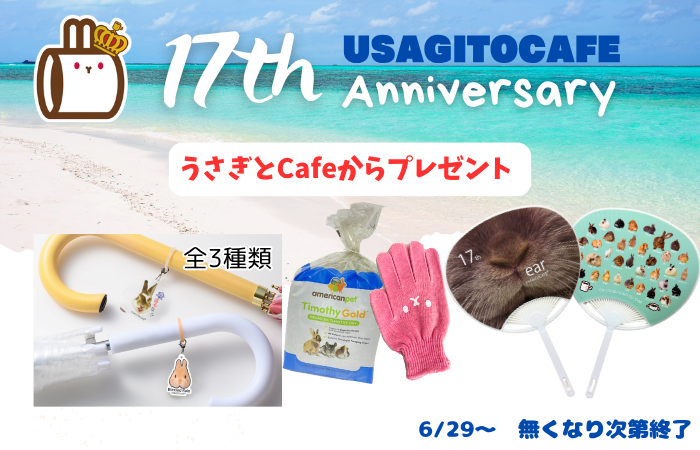 17周年記念 17周年記念