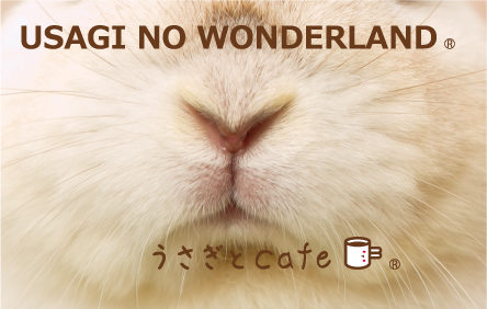 うさぎカフェ – うさぎのワンダーランド うさぎとカフェ