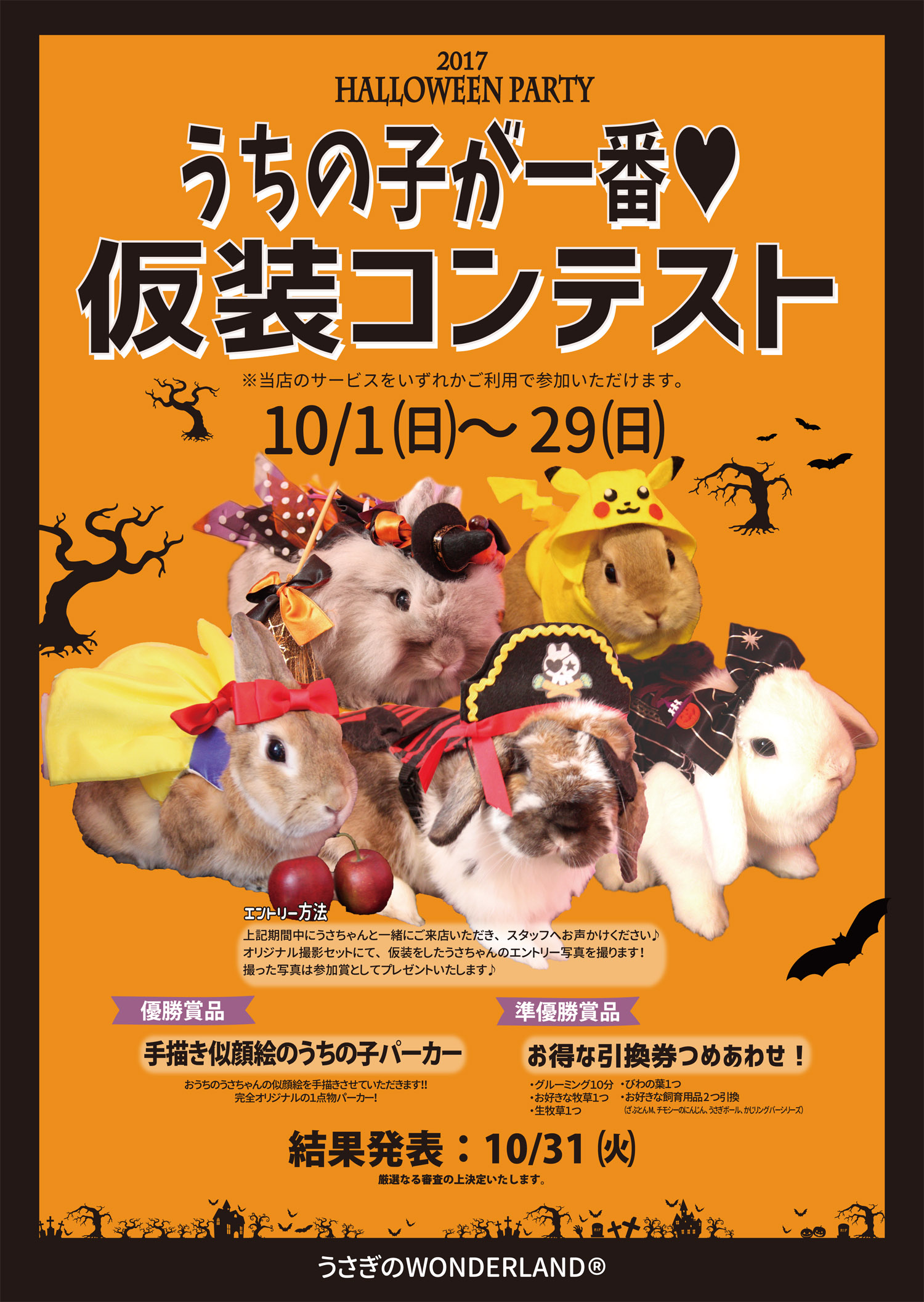 うさぎとカフェ　癒し　かわいい　ハロウィンイベント