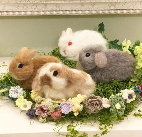 Chocolat Box 羊毛フェルト ワークショップ うさぎカフェ　かわいいうさぎ　癒し