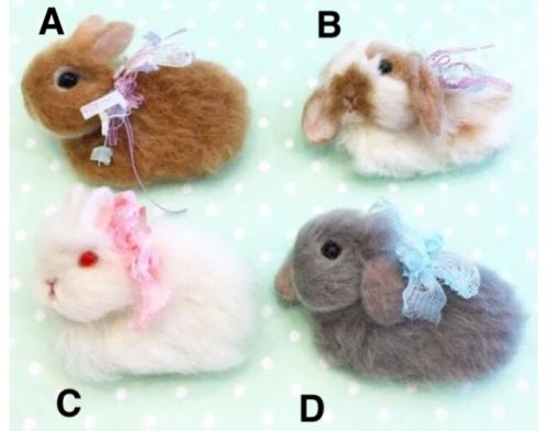 Chocolat Box 羊毛フェルト ワークショップ うさぎカフェ　かわいいうさぎ　癒し