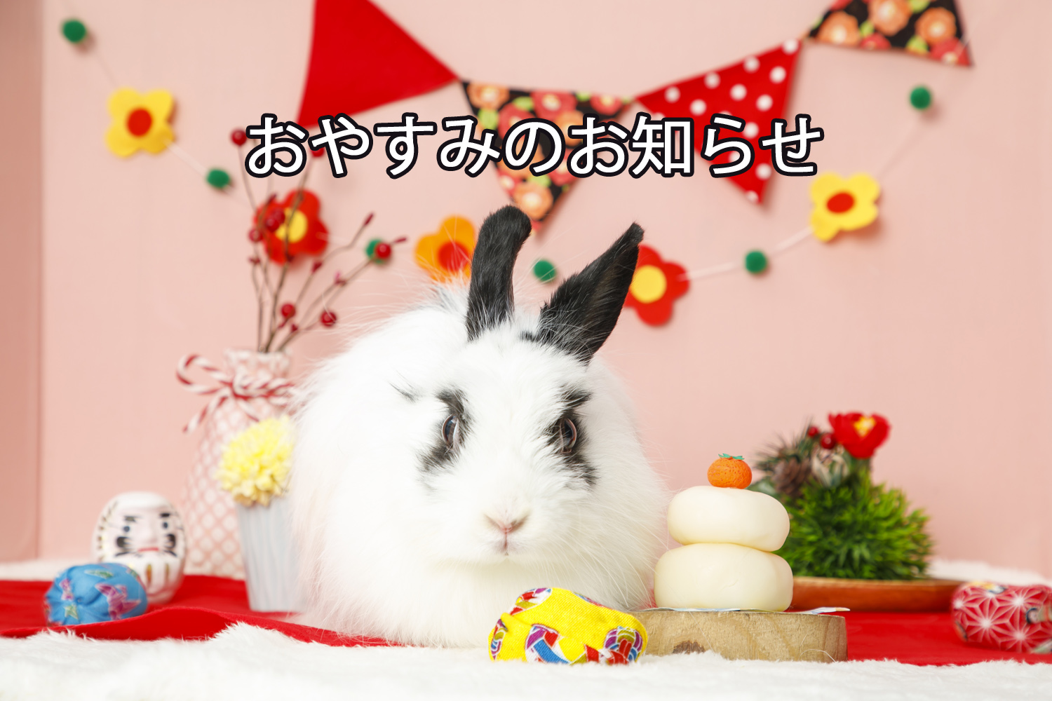 うさぎとCafe　うさぎカフェ　名古屋