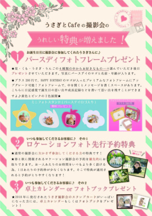 うさぎとCafe うさぎ撮影会 usagraph