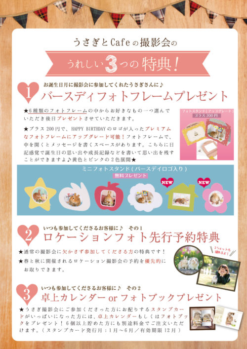 うさぎとCafe うさぎ撮影 usagraph うさぎ写真家 うさぎカフェ