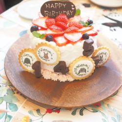 うさぎのワンダーランド うさぎとCafe お誕生日会 うさぎカフェ