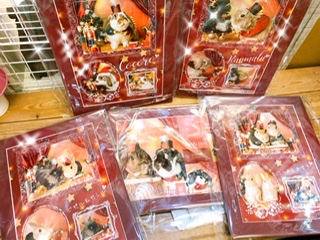 1E381B9B-4B98-4032-9B6F-B37D272B4799