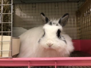 2B1407D4-2220-413D-BC8F-8F4371CB98E3