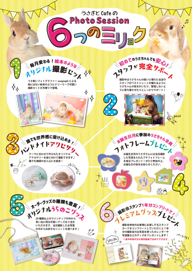 撮影会のお知らせ