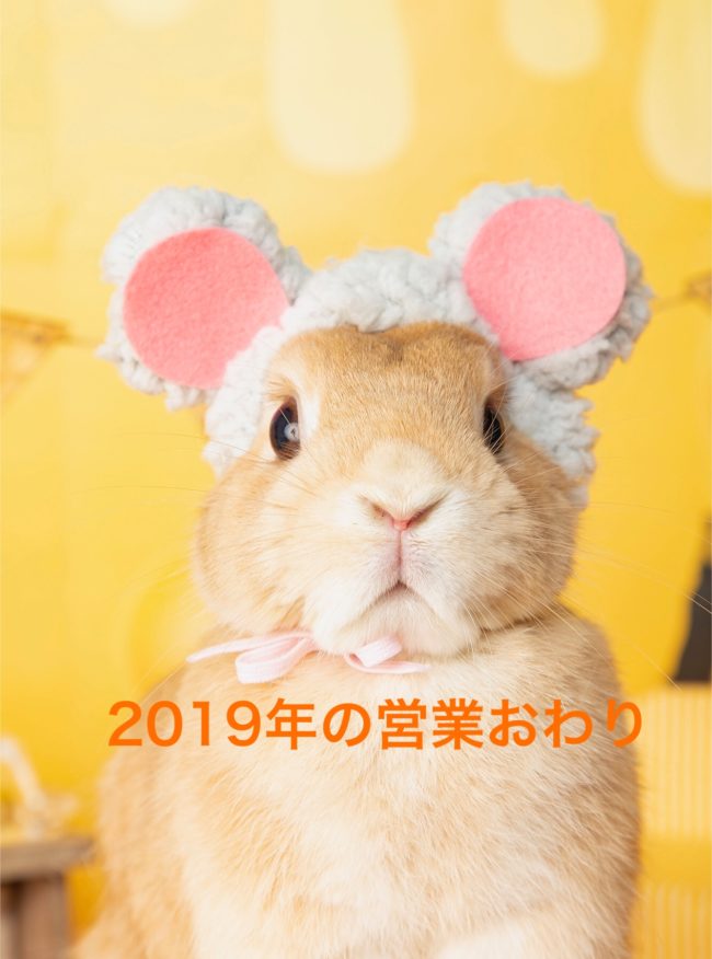 89CDD9F8-52A4-4FF5-8833-43FDE44AB78F