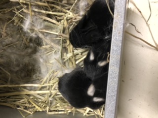 DCA2F176-E02D-4FDB-B7E3-5A886142DB8B