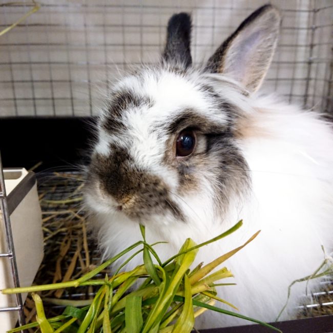 2020-02-20-17-04-52-853