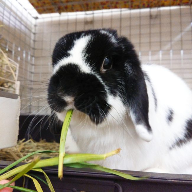 2020-02-20-17-10-05-640