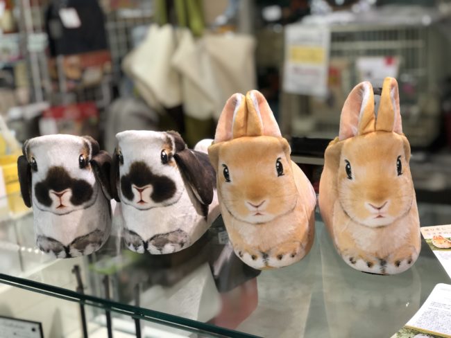 81701EBE-5D17-490B-800B-1B1B7F493F8F