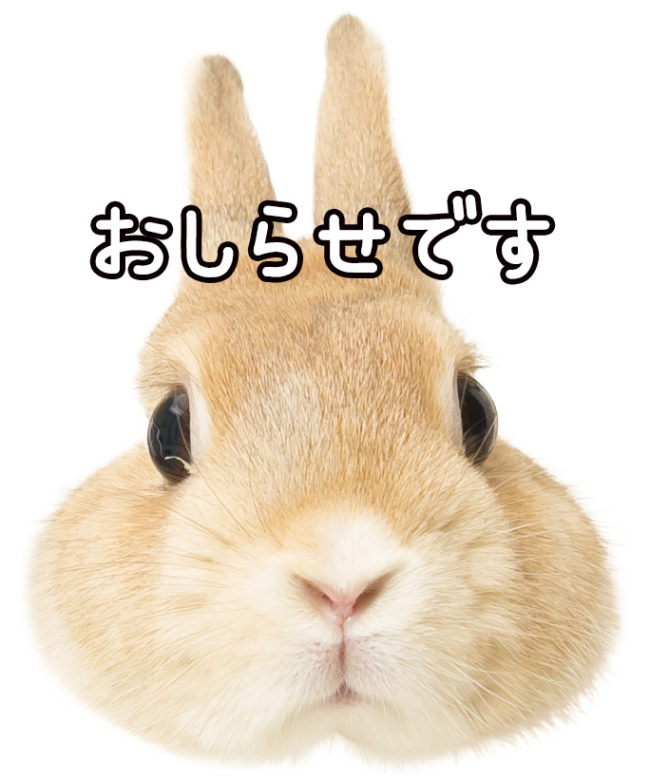 ブレンダ