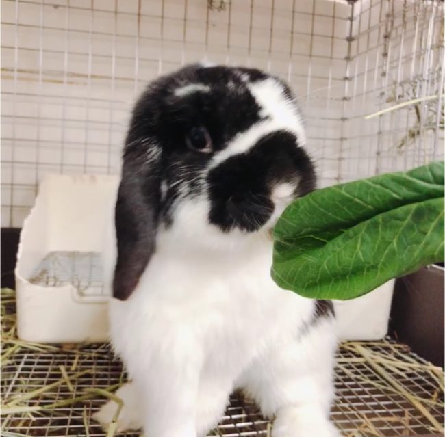 391168A1-0E75-4F9C-B58E-8F8FEDA49953