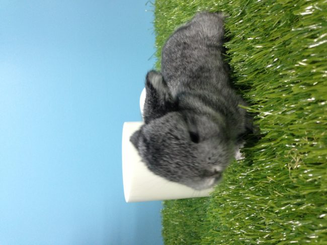 CE4AFE5F-87AF-4136-BD2A-B394E550959B