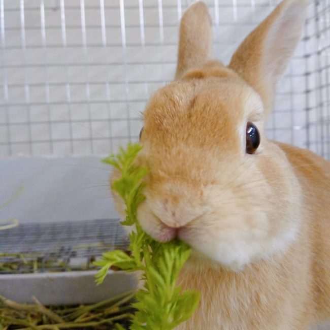 IMG_20200502_205153_114