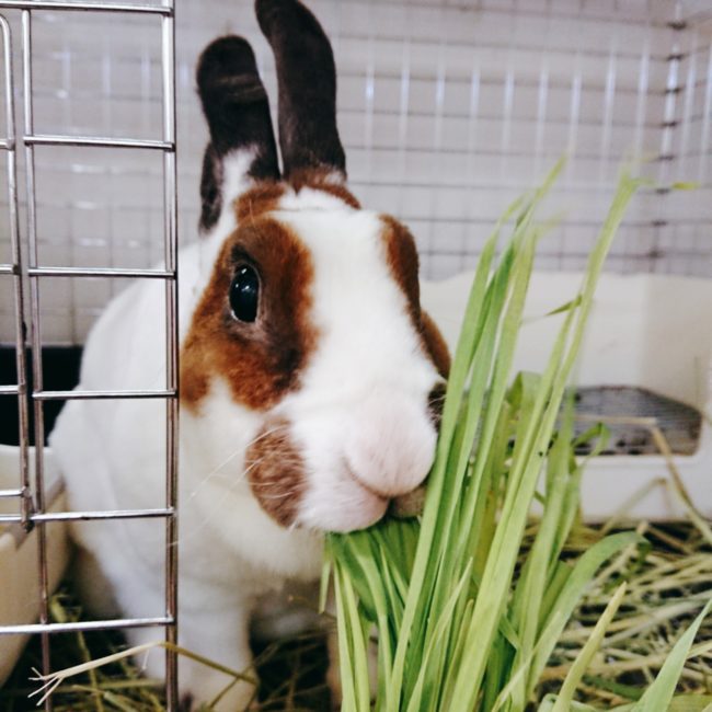 2020-07-10-14-41-27-155