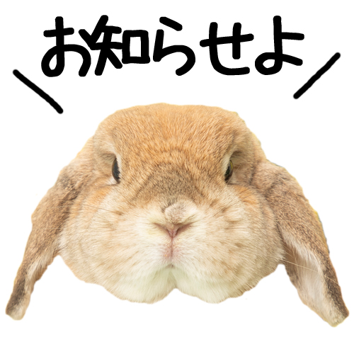 お知らせよ