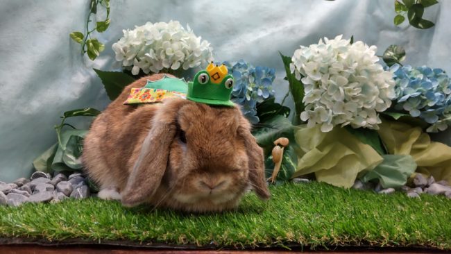 DSC_0163_copy_3000x1688