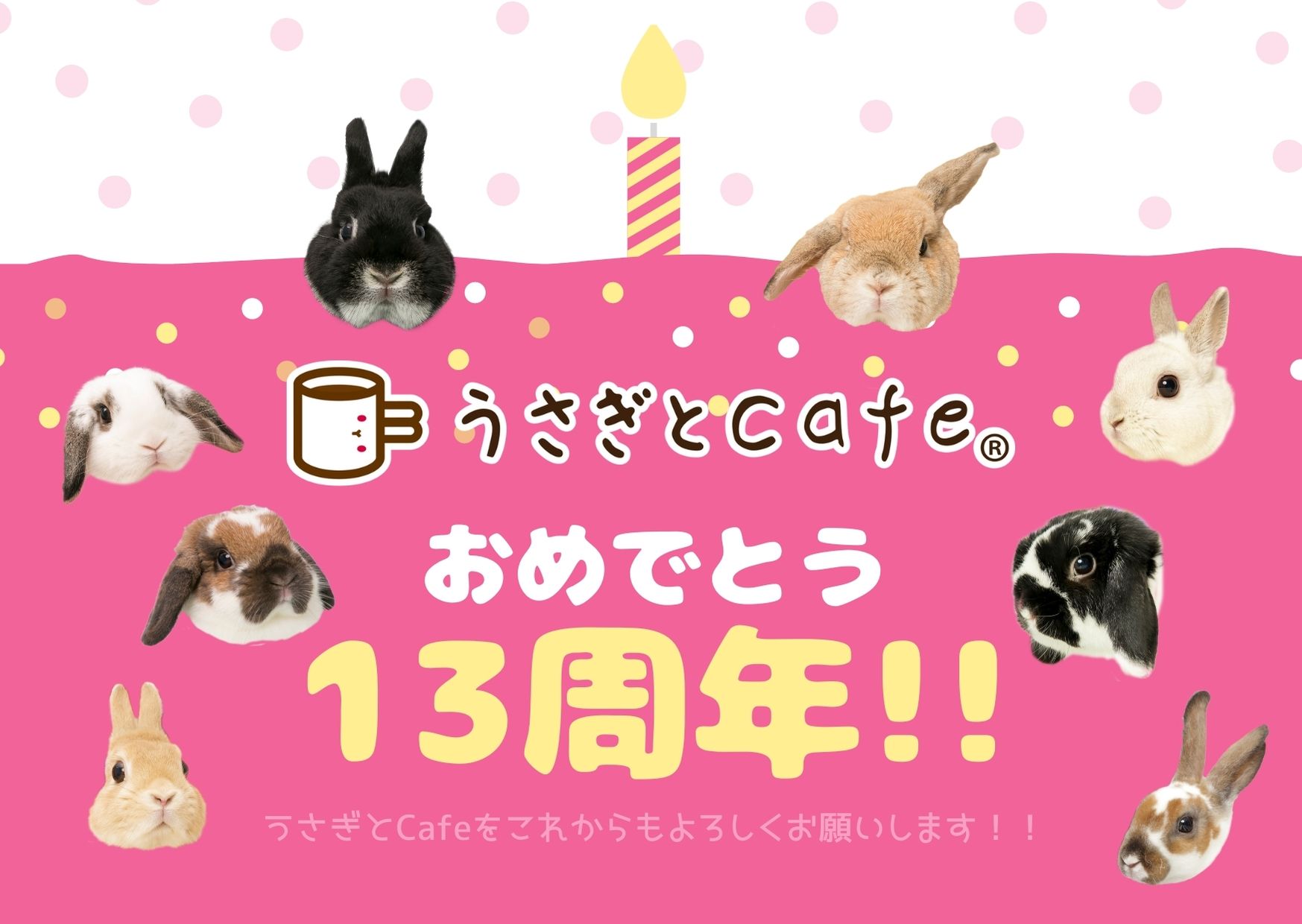 13歳おめでとう