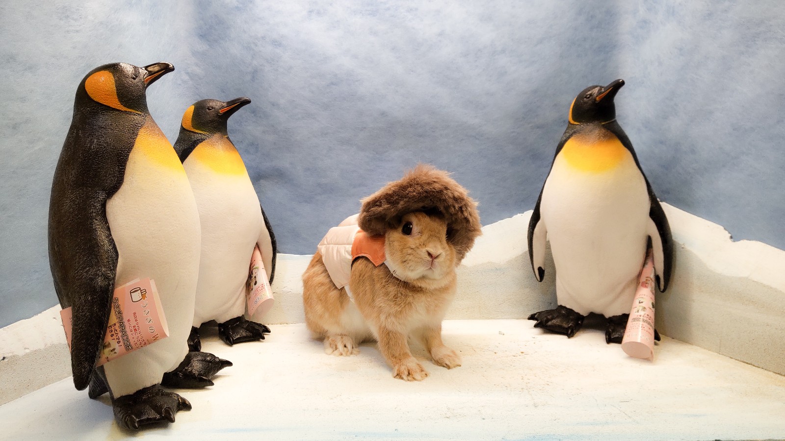 PSX_20210902_192338_copy_1600x900