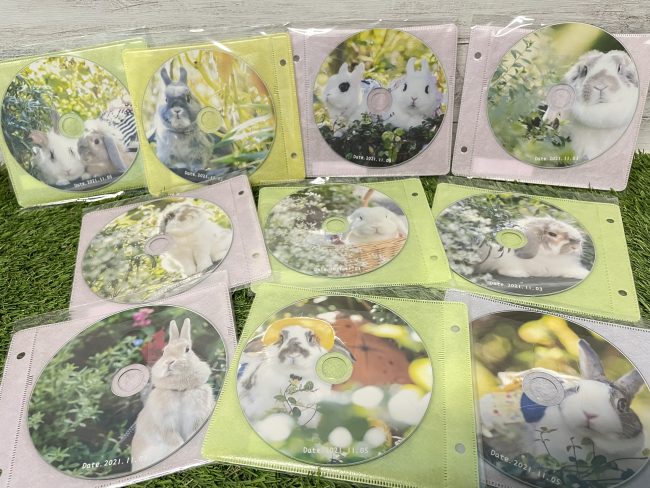 CBC90CA4-884F-4BC1-93EC-94BD296CB3D4