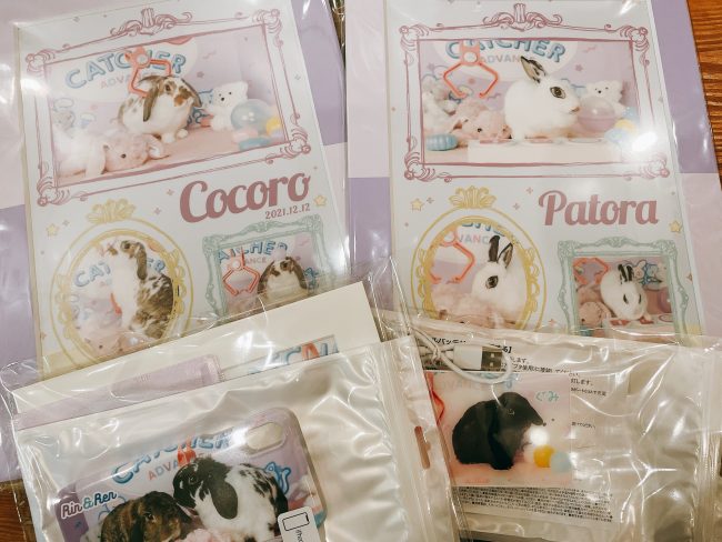 09E98907-E624-4975-A1F6-FB031E6A2BC4