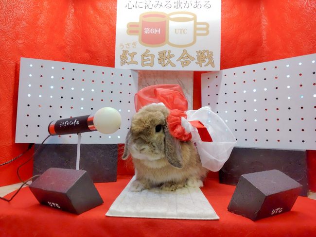 2021-12-01-17-56-16-346_copy_1305x979