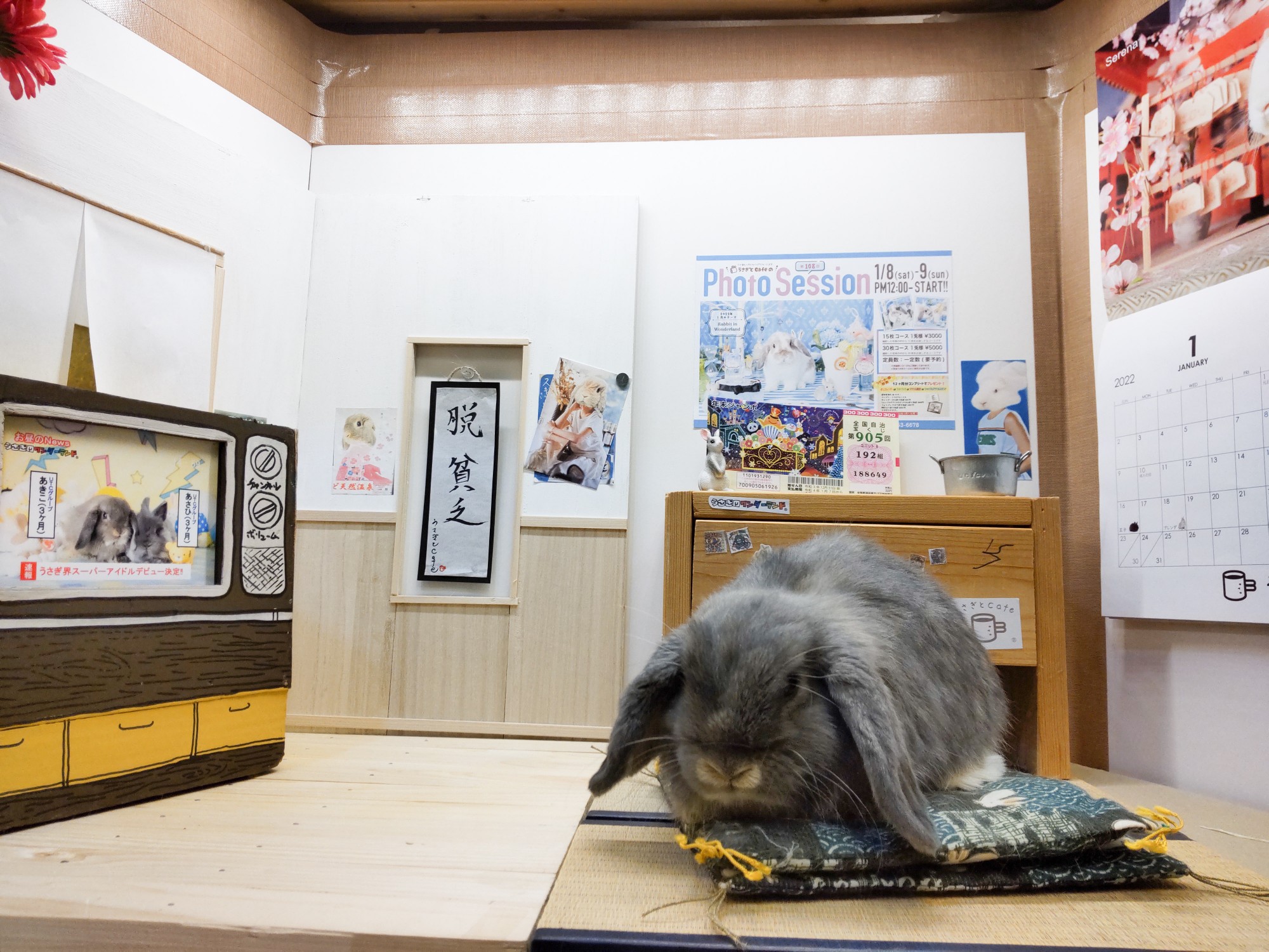 PSX_20220104_205649_copy_2000x1500