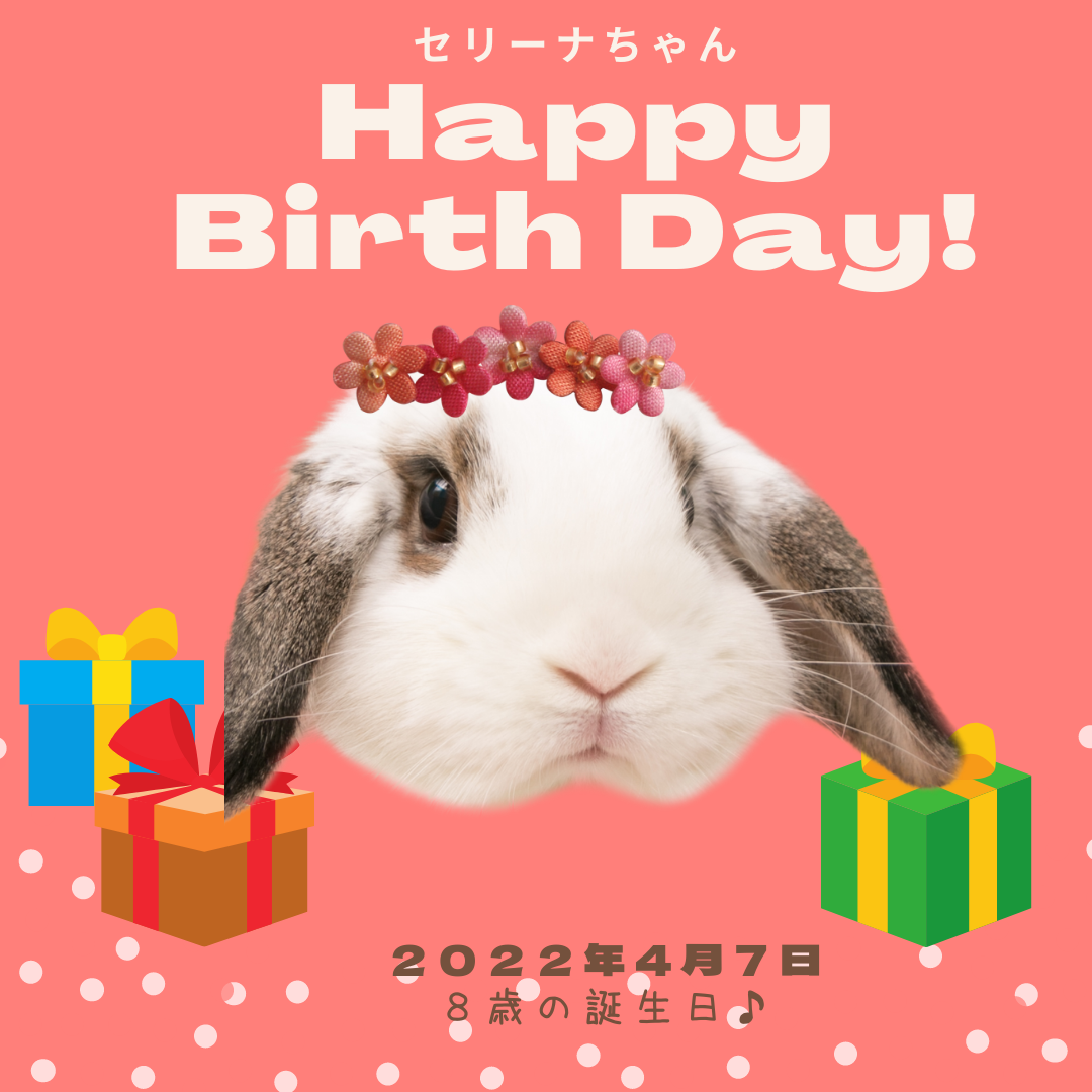 セリーナちゃん8歳のお誕生日 うさぎのワンダーランド うさぎとカフェ セリーナちゃん8歳のお誕生日 うさぎのワンダーランド うさぎとカフェ