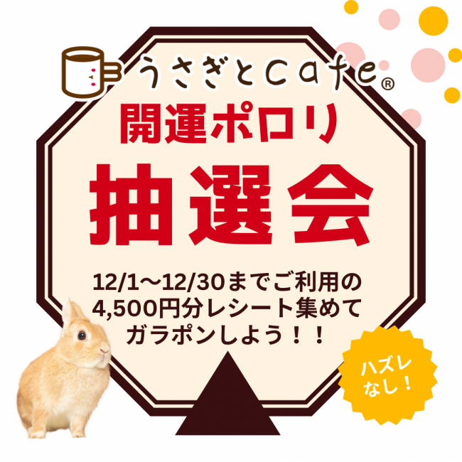 ガラポン抽選会 名古屋 うさぎ専門店