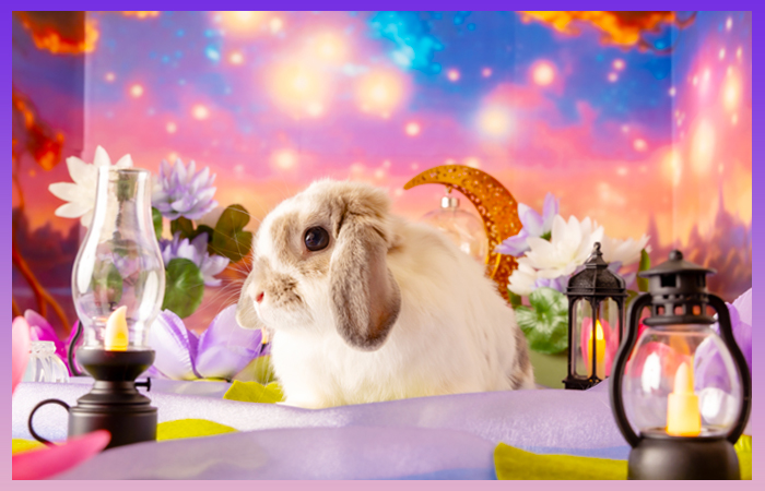 10_WEB (2) 10_WEB (2)