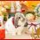 第１５７回☆１１月撮影会のお知らせ