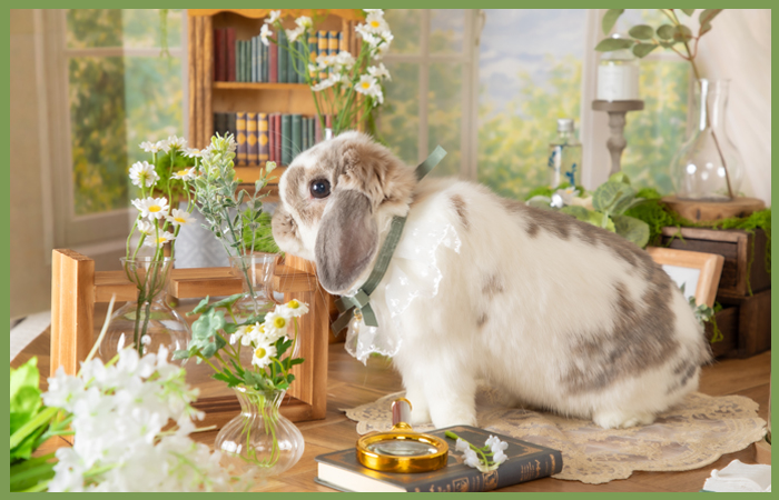 05_web (1) 05_web (1)